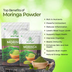 Infographic highlighting the top benefits of moringa powder, including nutrition, health, and wellness advantages.